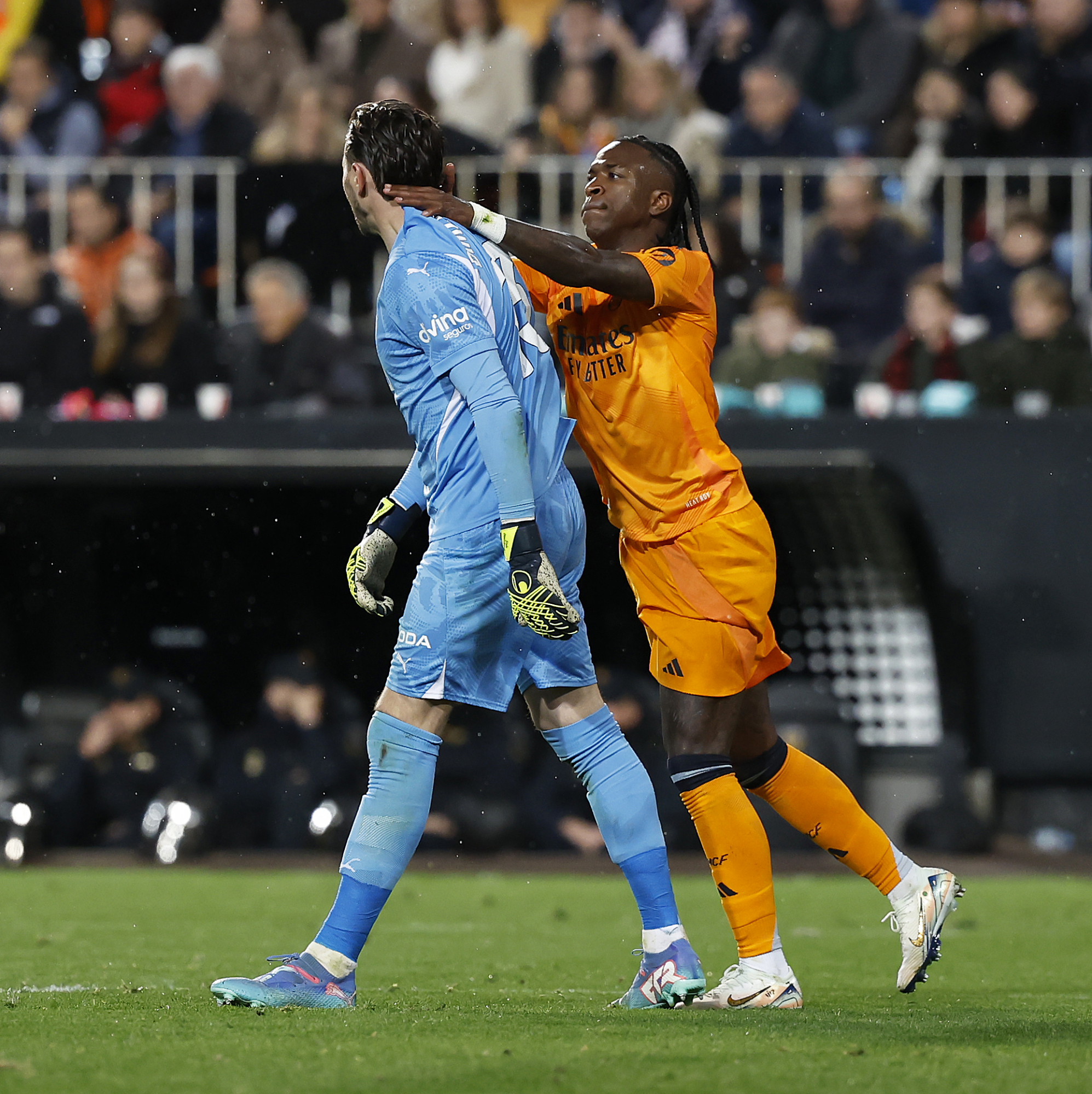 场上的冉冉 场上的冉冉